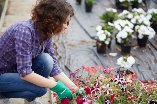 Urban landscaping in Euston with plants and paving