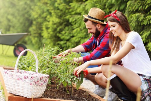 Supplier due diligence and audit process for landscaping services