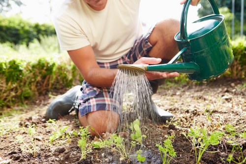 Person reviewing a landscaping complaint on site