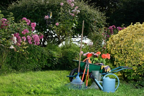 Local garden makeover planning for an Euston property
