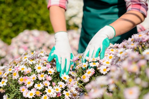 Garden maintenance work with planning, payments, and site preparation