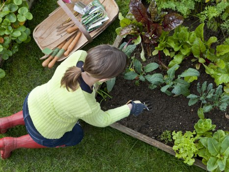 Professional installation of steps, paving, and retaining features in Euston