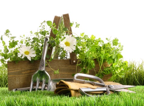 Stylish low-maintenance decking boards suited to central London properties