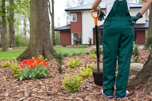 Structured planting and hard landscaping in Euston