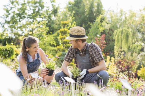 Payment methods accepted for Landscaping Euston including cards and PayPal